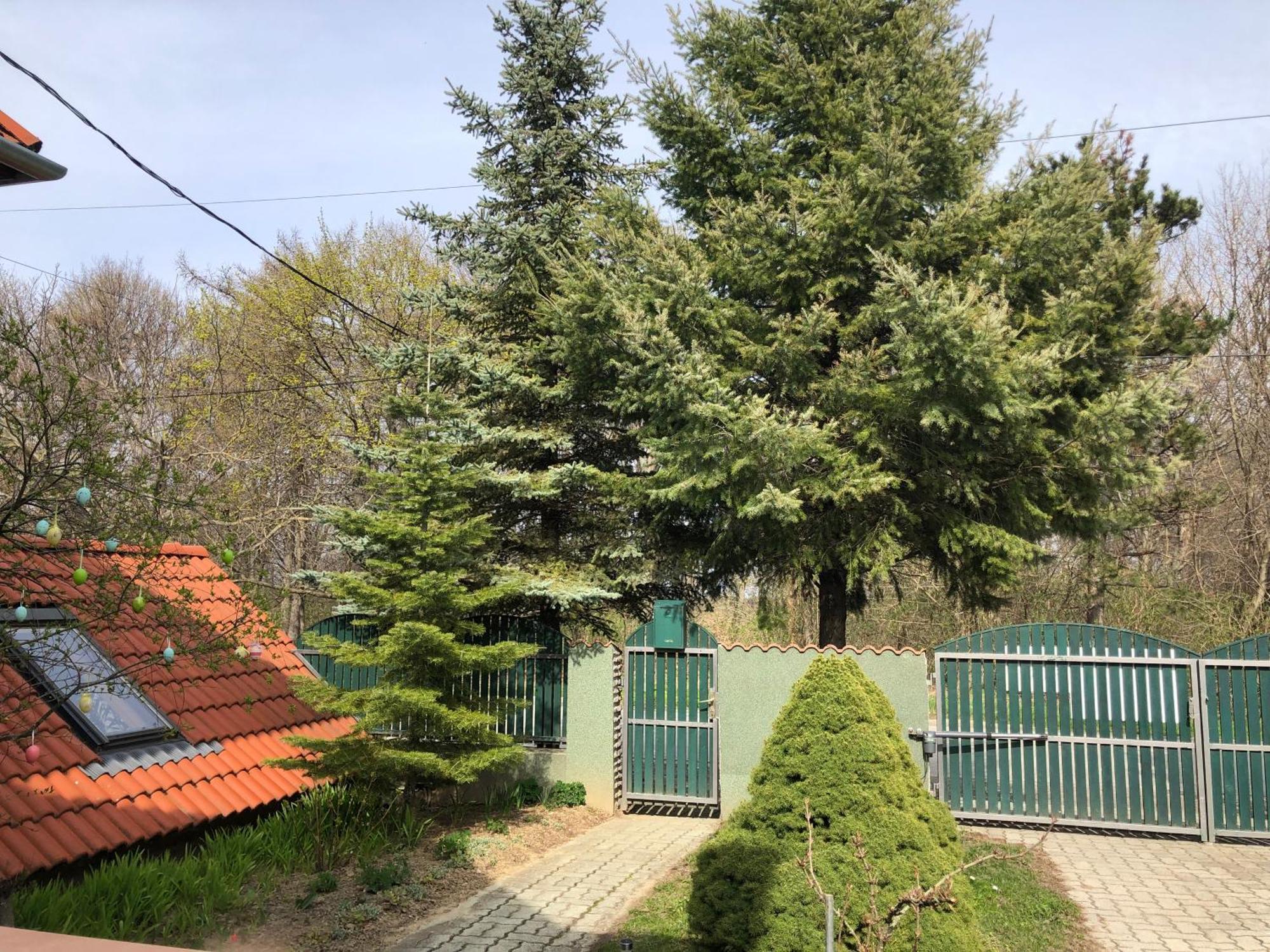 Bakonyi Mamutfenyő Vendégház Tés Exterior foto