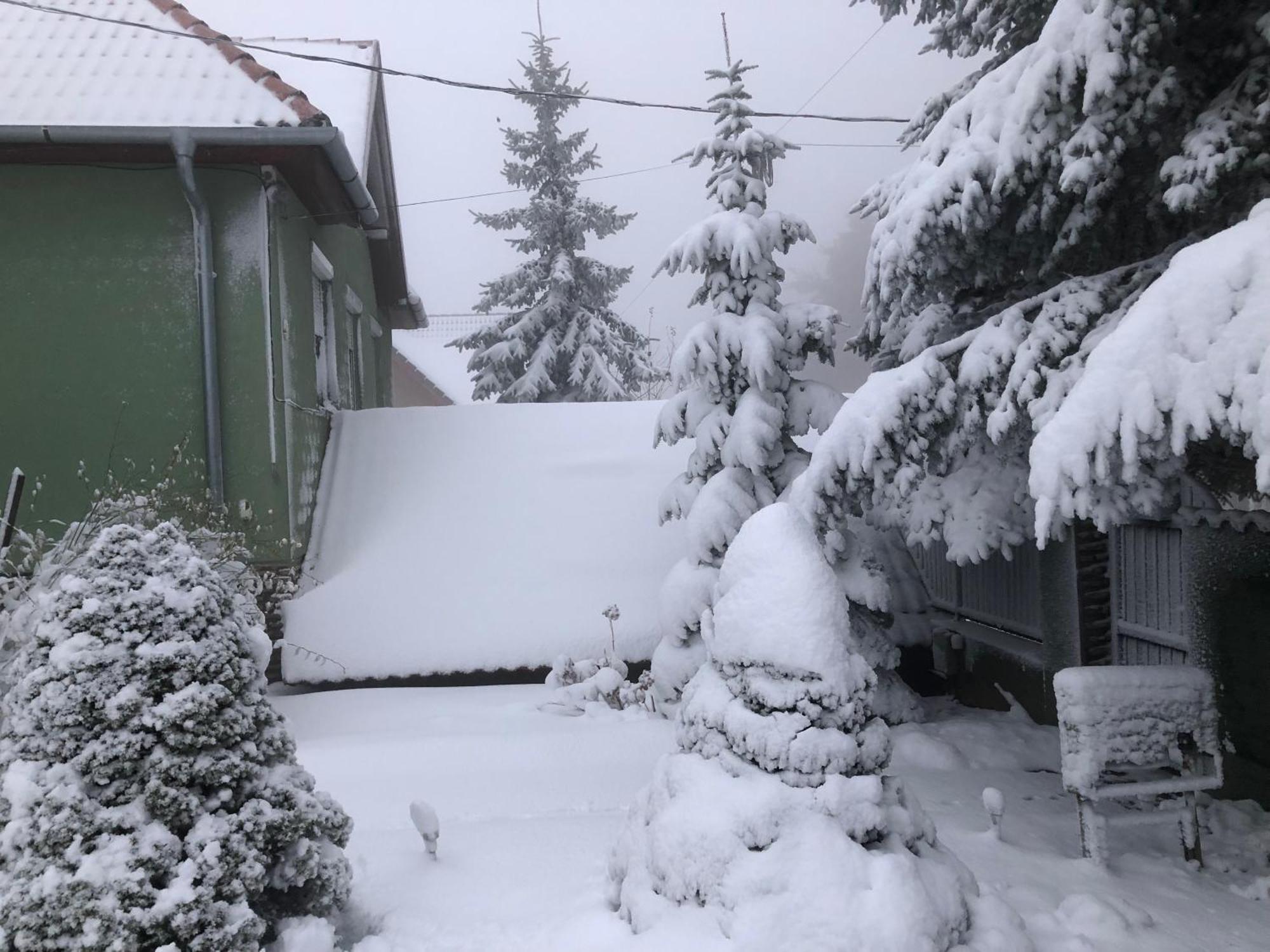 Bakonyi Mamutfenyő Vendégház Tés Exterior foto