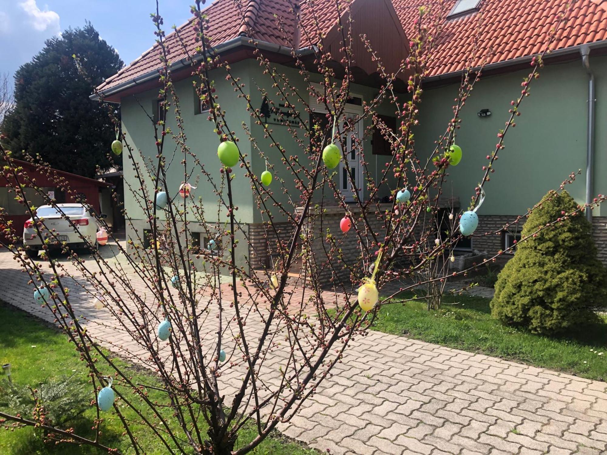 Bakonyi Mamutfenyő Vendégház Tés Exterior foto