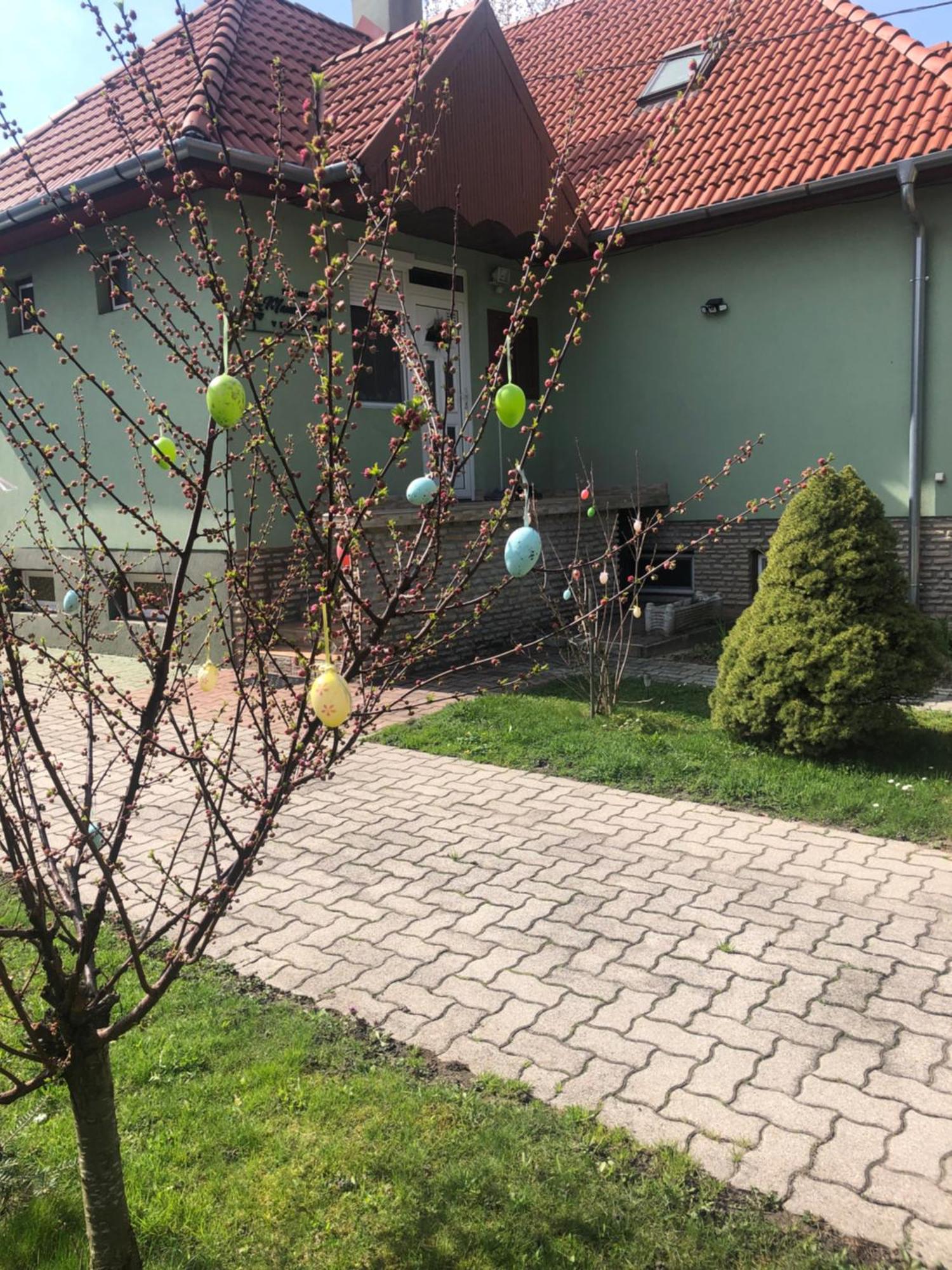 Bakonyi Mamutfenyő Vendégház Tés Exterior foto