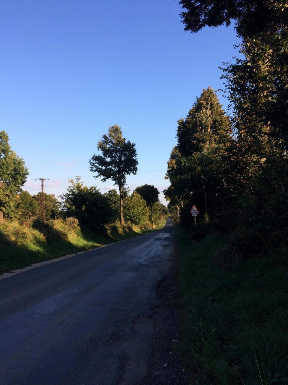 Bakonyi Mamutfenyő Vendégház Tés Exterior foto